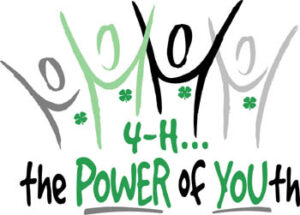 4-H the power of youth logo