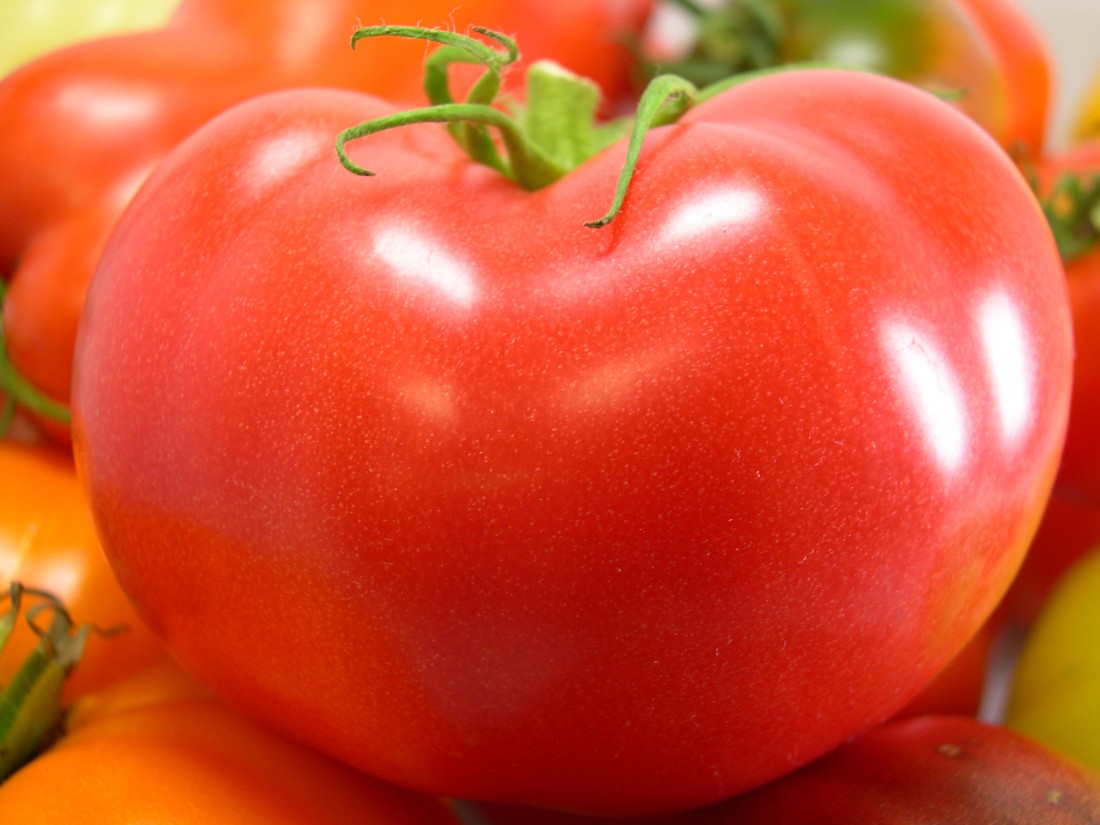 Garden Articles and Topics RCE of Hunterdon County