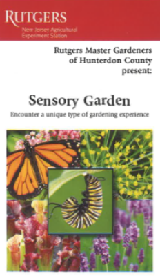 Sensory Garden