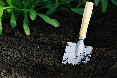 Small shovel in vegetable garden